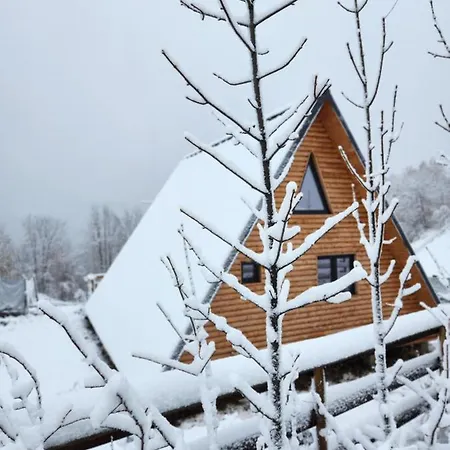 Cabana Lupul Din Apuseni Matisesti Extérieur photo