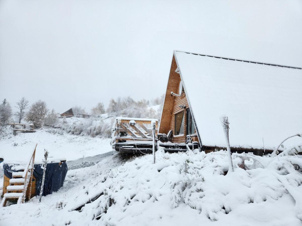 Lodge Lupul Din Apuseni Matisesti