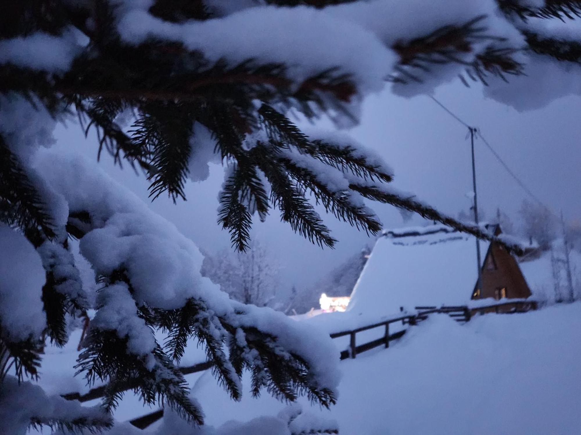 Lodge Lupul Din Apuseni