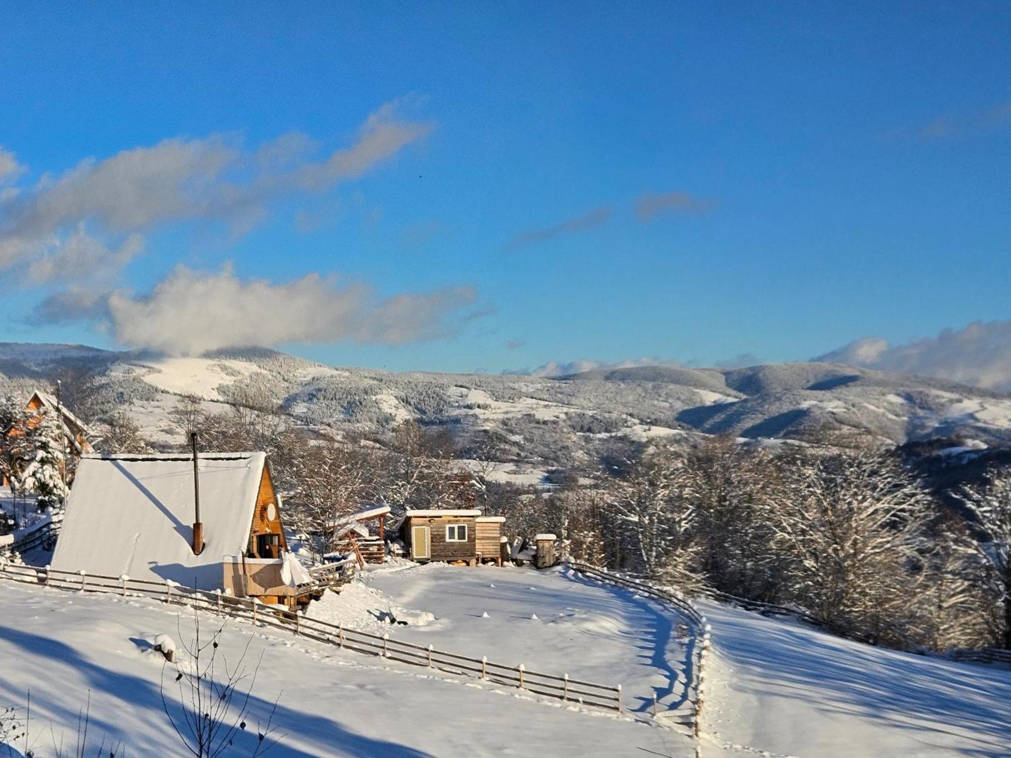 Lupul Din Apuseni Lodge *